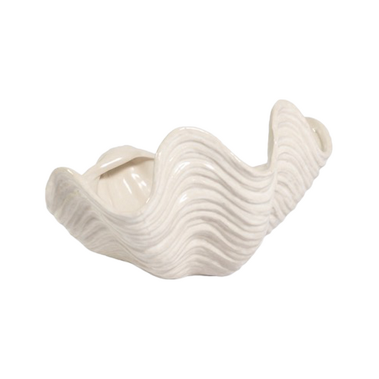 Clam Shell Ivory