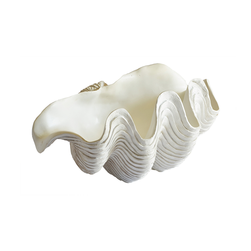 Coral Giant Clam
