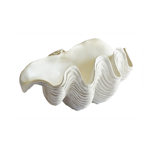 Coral Giant Clam